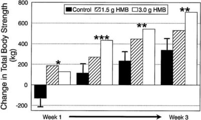 HMBの効果
